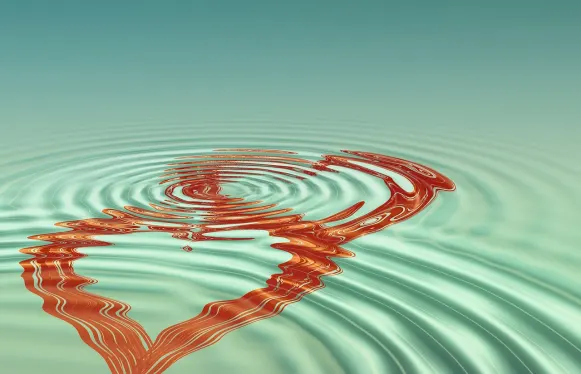 Rokubet Kaszinó Támogatás